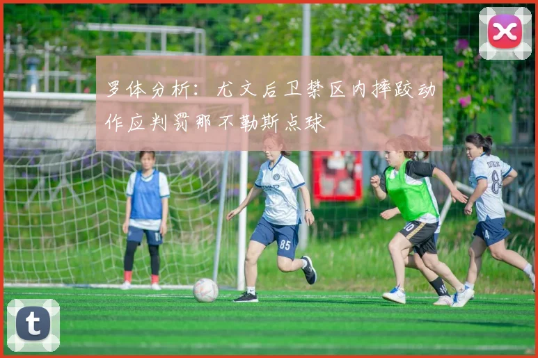 罗体分析：尤文后卫禁区内摔跤动作应判罚那不勒斯点球