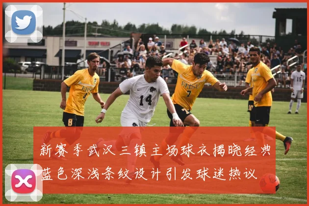 新赛季武汉三镇主场球衣揭晓经典蓝色深浅条纹设计引发球迷热议